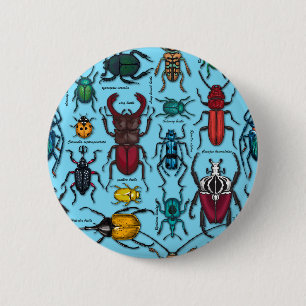 Badge Rond 5 Cm Beetons sur bleu