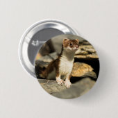 Badge Rond 5 Cm Belette vigilante (Devant & derrière)