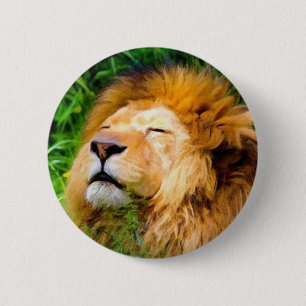 Badge Rond 5 Cm Belle Basking Homme Lion faune africaine