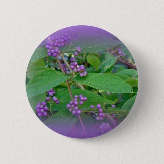 Badge Rond 5 Cm Belle-Belle américaine (Callicarpa americana) (Devant)