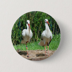 Badge Rond 5 Cm Belle cigogne
