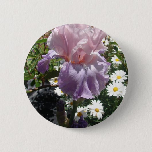 Badge Rond 5 Cm Belle Iris Fleur violet Fleur Photo (Devant)