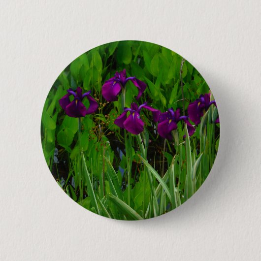 Badge Rond 5 Cm Belle Iris Violet (Devant)