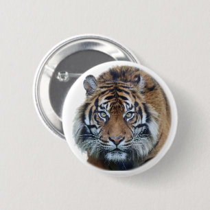 Badge Rond 5 Cm Belle photo du visage du tigre du Bengale