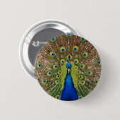 Badge Rond 5 Cm Belle plumes de paon et de queue (Devant & derrière)