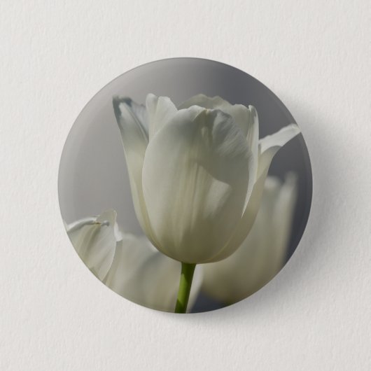 Badge Rond 5 Cm Belle Tulipe de printemps blanche (Devant)