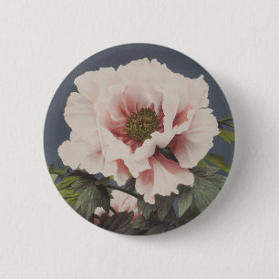 Badge Rond 5 Cm Belles impressions photomécaniques des fleurs de p