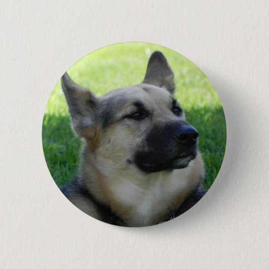 Badge Rond 5 Cm Berger allemand (Devant)