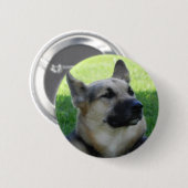 Badge Rond 5 Cm Berger allemand (Devant & derrière)