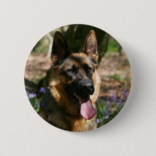 Badge Rond 5 Cm Berger Allemand (Devant)