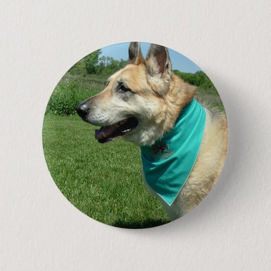 Badge Rond 5 Cm Berger allemand (Devant)