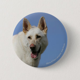 Badge Rond 5 Cm Berger allemand blanc