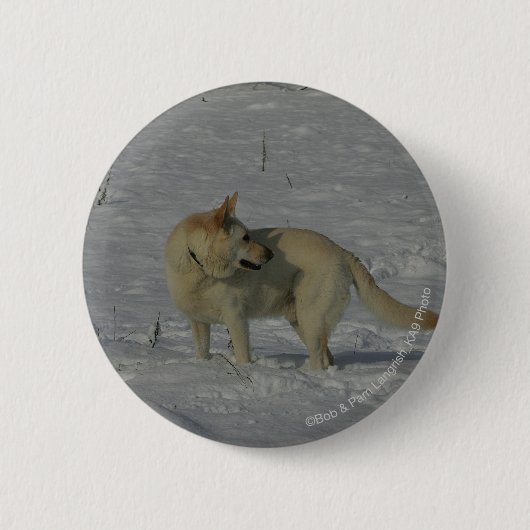 Badge Rond 5 Cm Berger allemand blanc dans la neige (Devant)