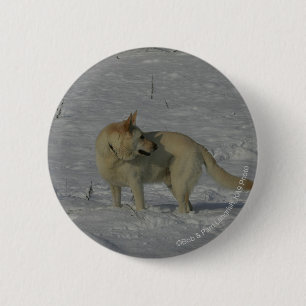 Badge Rond 5 Cm Berger allemand blanc dans la neige