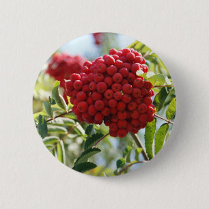 Badge Rond 5 Cm Berries rouges Rowan