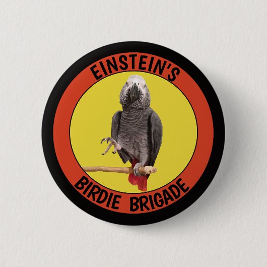Badge Rond 5 Cm Birdie Brigade Congo African Grey Parrot (Devant)