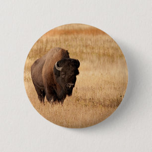 Badge Rond 5 Cm Bison