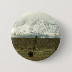 Badge Rond 5 Cm Bison à Grand Teton National Park Photographie