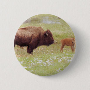 Badge Rond 5 Cm Bison et veau à Yellowstone