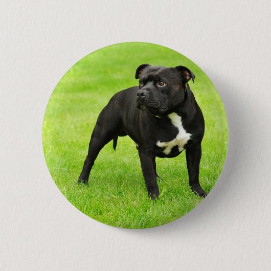 Badge Rond 5 Cm Black Amstaff (Devant)