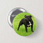 Badge Rond 5 Cm Black Amstaff (Devant & derrière)
