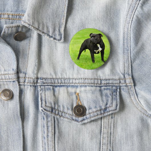 Badge Rond 5 Cm Black Amstaff (En situation)