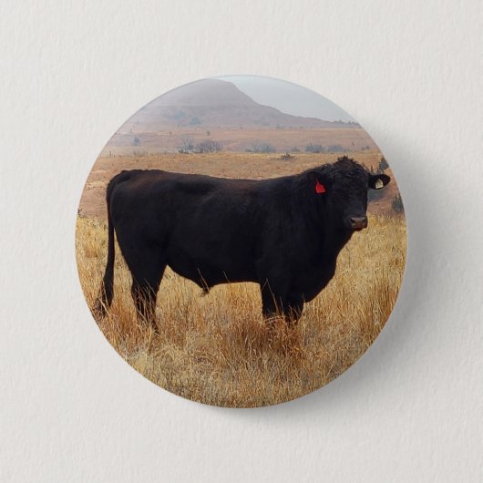 Badge Rond 5 Cm Black Angus Steer Grazing with its Herd (Devant)