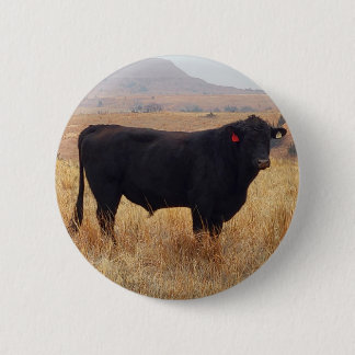 Badge Rond 5 Cm Black Angus Steer Grazing with its Herd