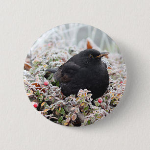 Badge Rond 5 Cm Blackbird d'hiver