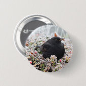 Badge Rond 5 Cm Blackbird d'hiver (Devant & derrière)