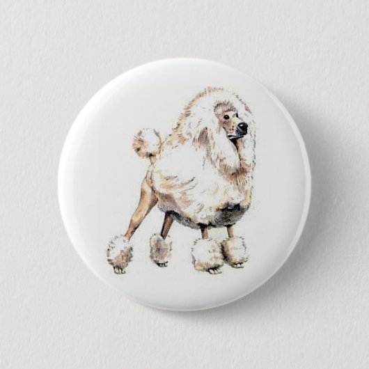 Badge Rond 5 Cm Blanc de caniche standard (Devant)