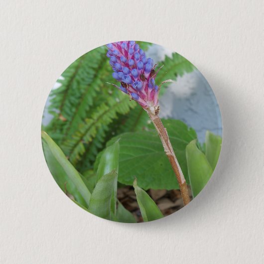 Badge Rond 5 Cm Bleu cône fleur bromélique (Devant)