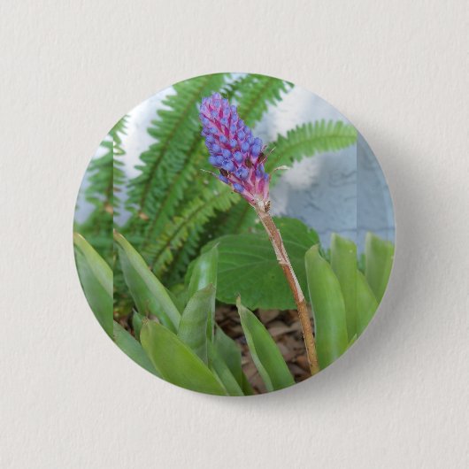 Badge Rond 5 Cm Bleu cône fleur bromélique (Devant)
