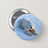 Badge Rond 5 Cm Bleu d'ours blanc (Devant & derrière)