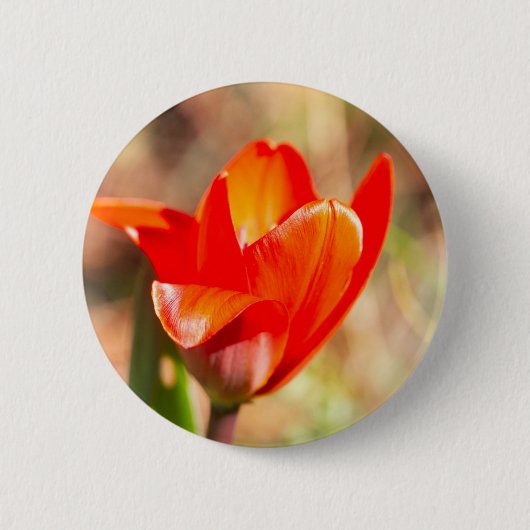 Badge Rond 5 Cm Blossom de la tulipe rouge (Devant)