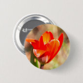 Badge Rond 5 Cm Blossom de la tulipe rouge (Devant & derrière)