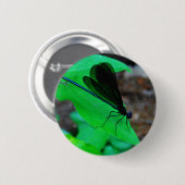 Badge Rond 5 Cm Blue Damselfly on a green leaf. (Devant & derrière)