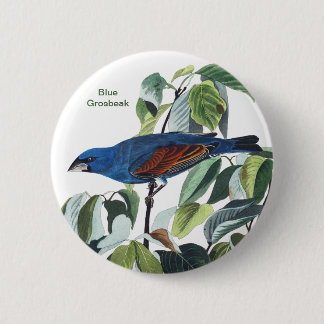 Badge Rond 5 Cm Blue Grosbeak, John James Audubon, Blue Bird