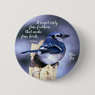 Badge Rond 5 Cm Blue Jay sur la publication de la photo nature de 