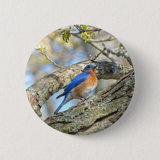 Badge Rond 5 Cm Bluebird (Devant)