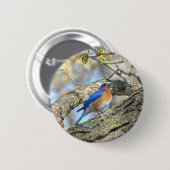 Badge Rond 5 Cm Bluebird (Devant & derrière)