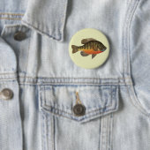 Badge Rond 5 Cm Bluegill Bream (En situation)