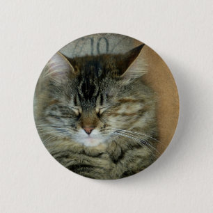 Badge Rond 5 Cm Bob