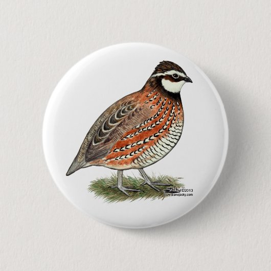 Badge Rond 5 Cm Bobwhite Quail (Devant)