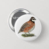 Badge Rond 5 Cm Bobwhite Quail (Devant & derrière)