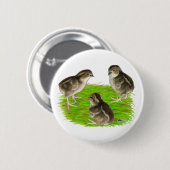 Badge Rond 5 Cm Bobwhite Quail (Devant & derrière)
