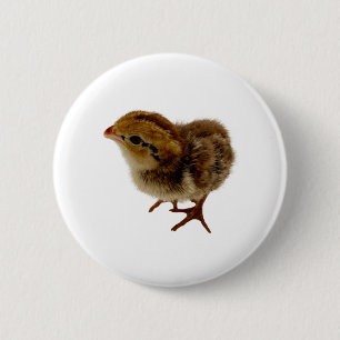 Badge Rond 5 Cm Bobwhite Quail Chick