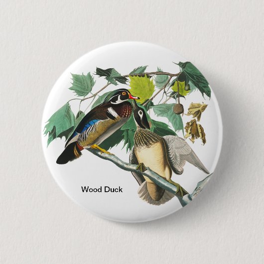 Badge Rond 5 Cm Bois de canard par John James Audubon, Birdwatcher (Devant)