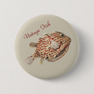 Badge Rond 5 Cm Boîte aux poissons rouges nautiques vintage d'Erns