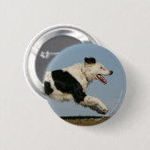 Badge Rond 5 Cm Border collie courant 2 (Devant & derrière)
